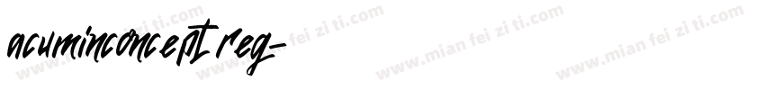 acuminconcept reg字体转换